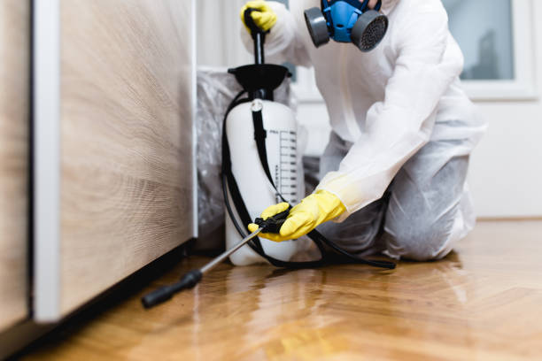 Best Pest Prevention Services  in Bloomington, TX