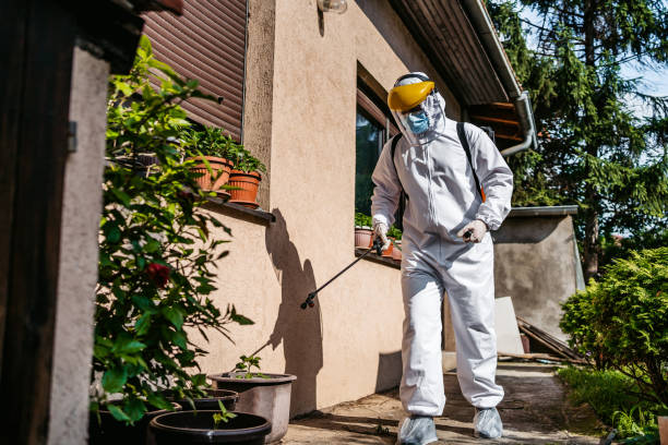 Best Commercial Pest Control Services  in Bloomington, TX