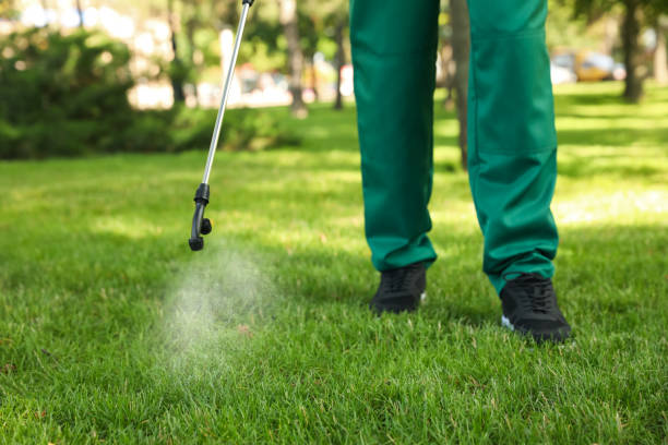 Best Mosquito Control Services  in Bloomington, TX