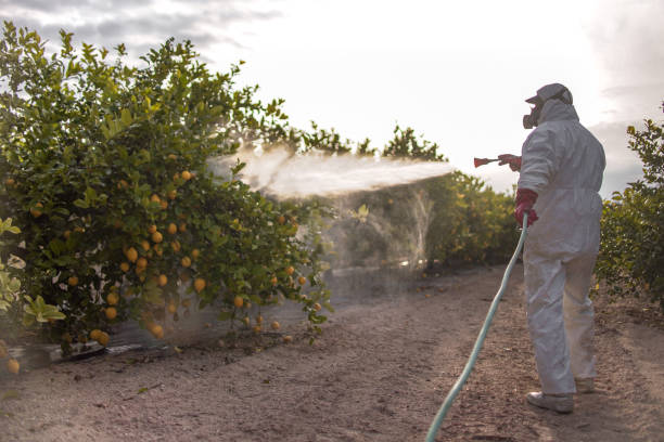 Best Mosquito Control Services  in Bloomington, TX