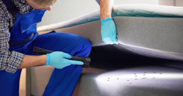 Pest Control for Restaurants in Bloomington, TX