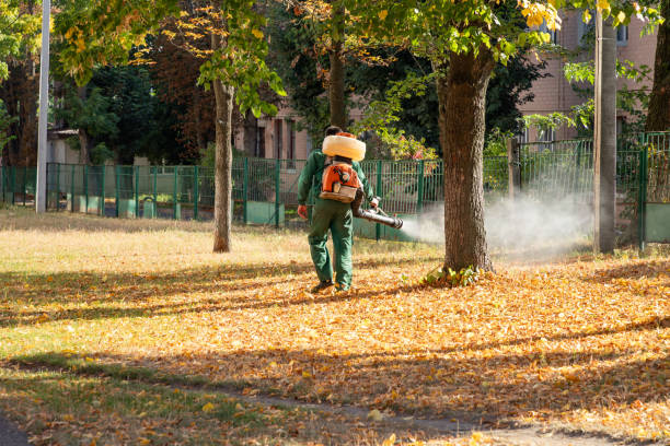 Best Spider Control Near Me  in Bloomington, TX