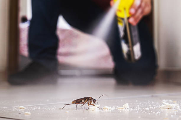 Best Pest Control for Restaurants  in Bloomington, TX