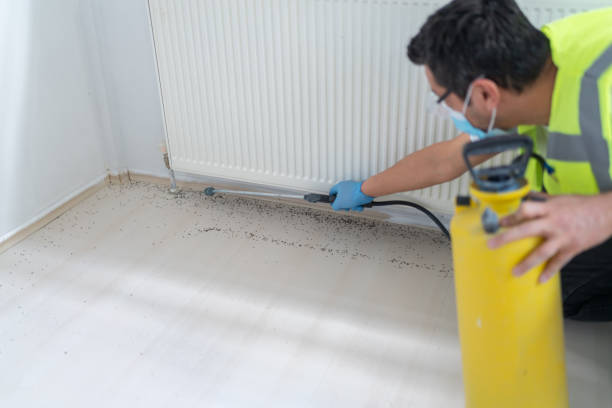 Best Cockroach Control Services  in Bloomington, TX