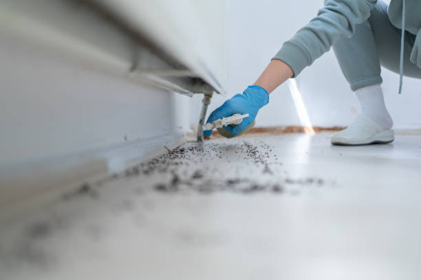 Best Exterminator Services  in Bloomington, TX